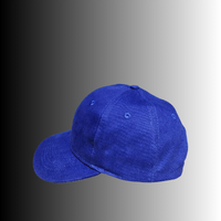 Blue cotton baseball cap with custom print and adjustable fit on gradient background