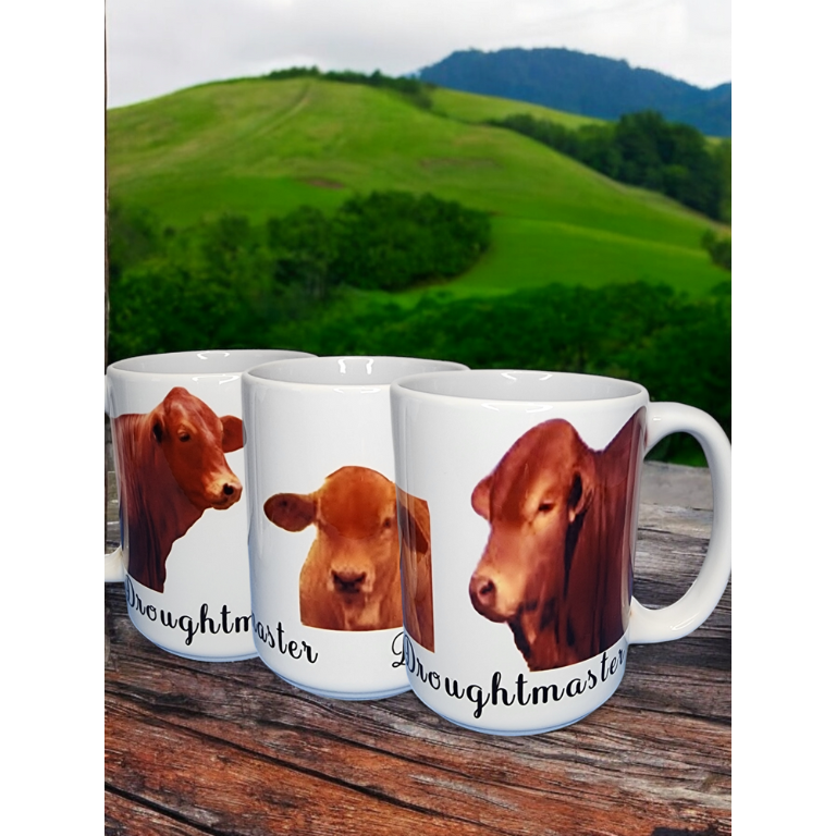 MUGS
