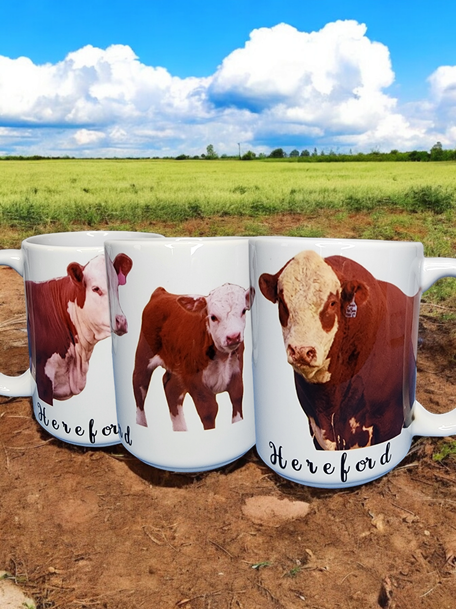 Coffee Mugs