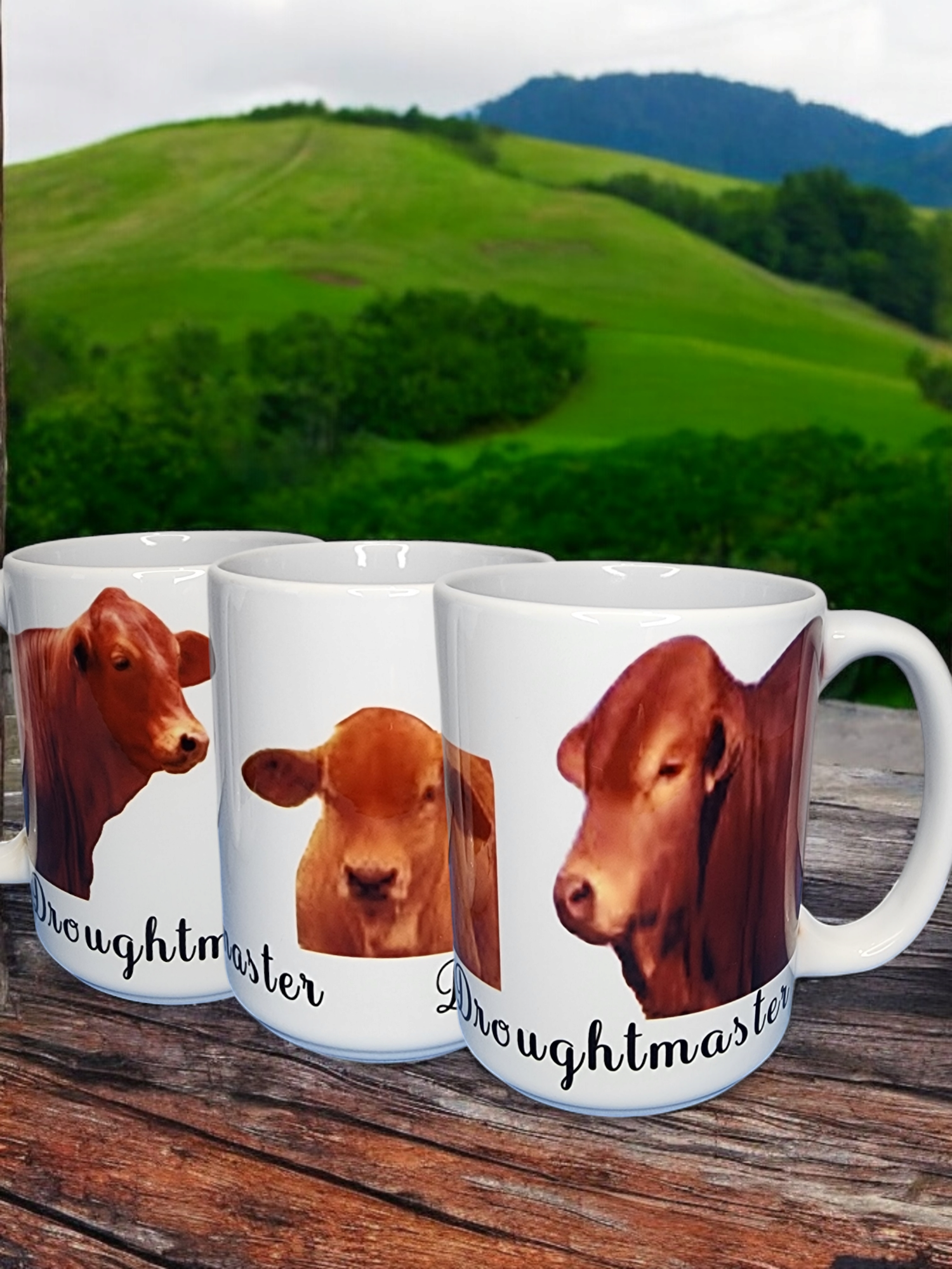 Coffee Mugs